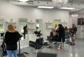 À la Rencontre de Meve : L’Art de la Beauté Capillaire